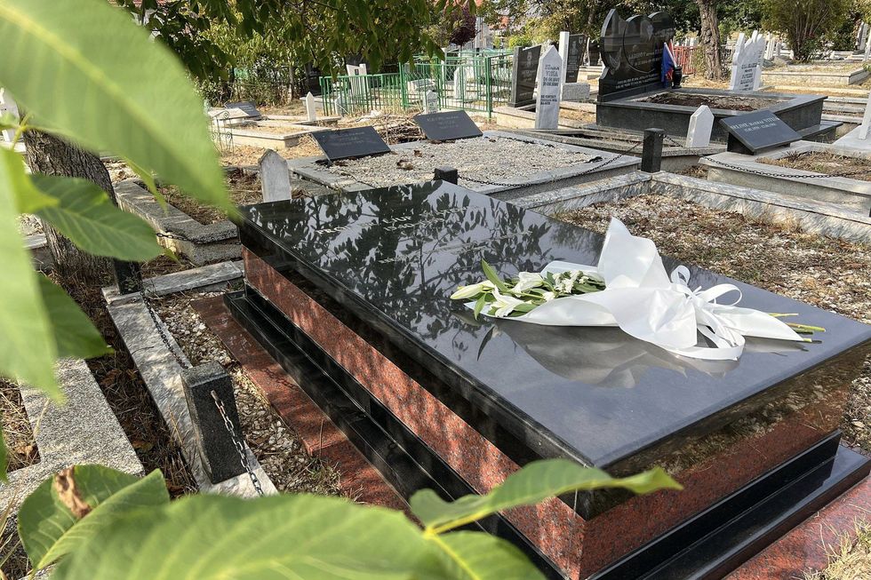 382774746 866082008218861 1696499126512340284 n