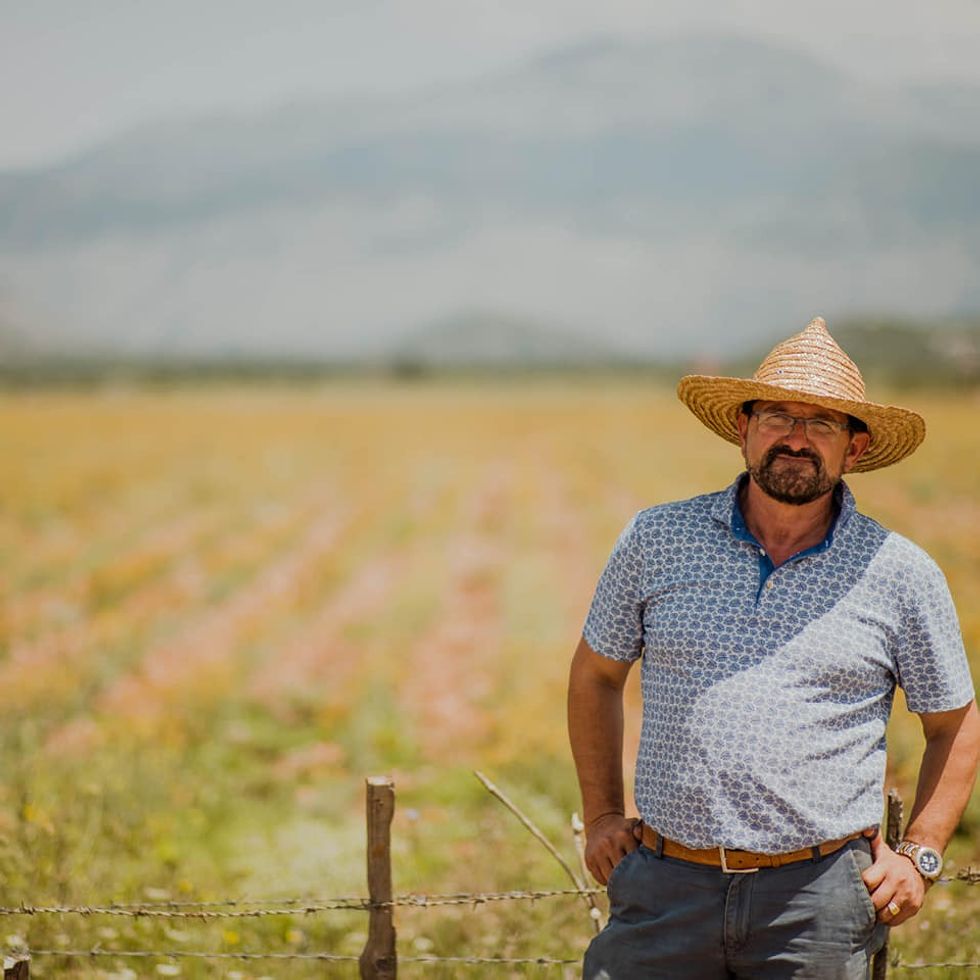 38612339 1724385537610806 96154185929588736 n