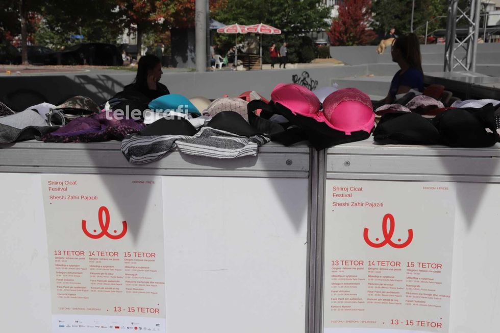 387578391 1954715548232280 2546502289738454469 n 1