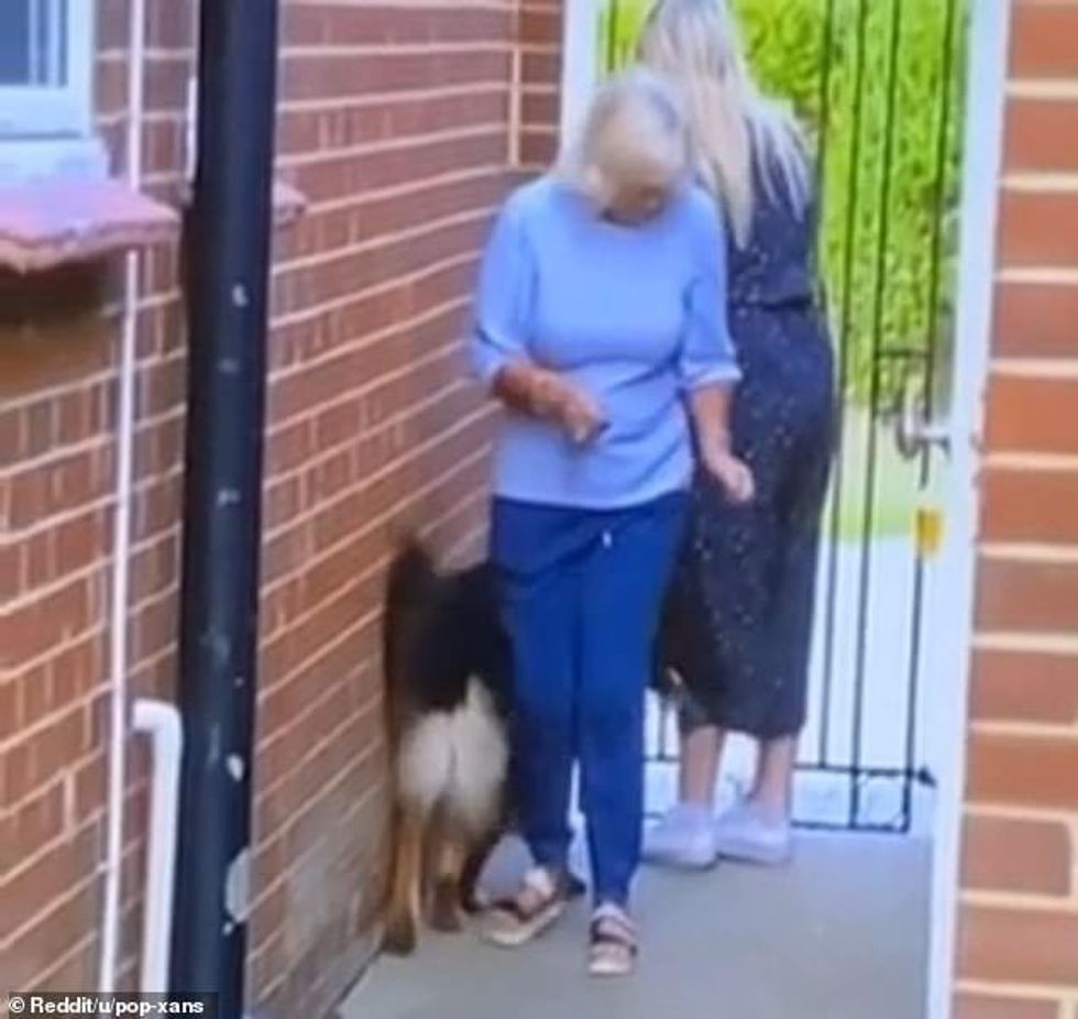 38989264 9233689 After a split second the dog s head appears behind the woman s l a 9 1612789755888