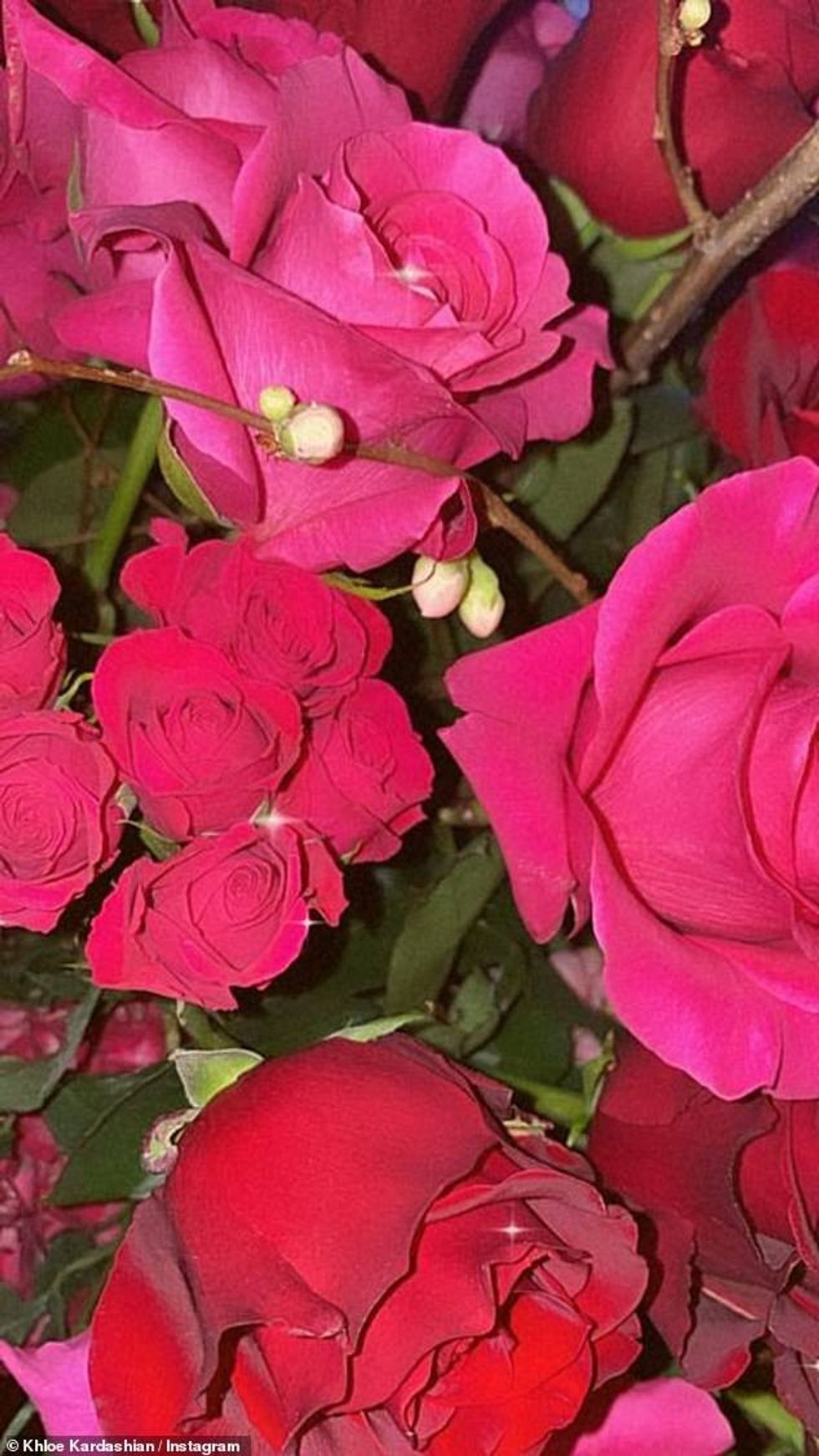 39237994 9256333 image a 63 1613199146476