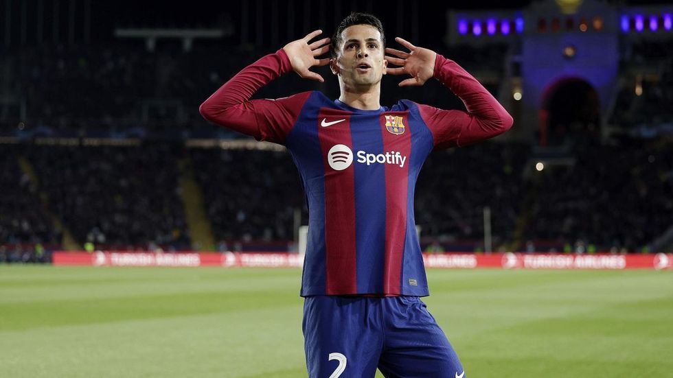 3928346 79799688 2560 1440