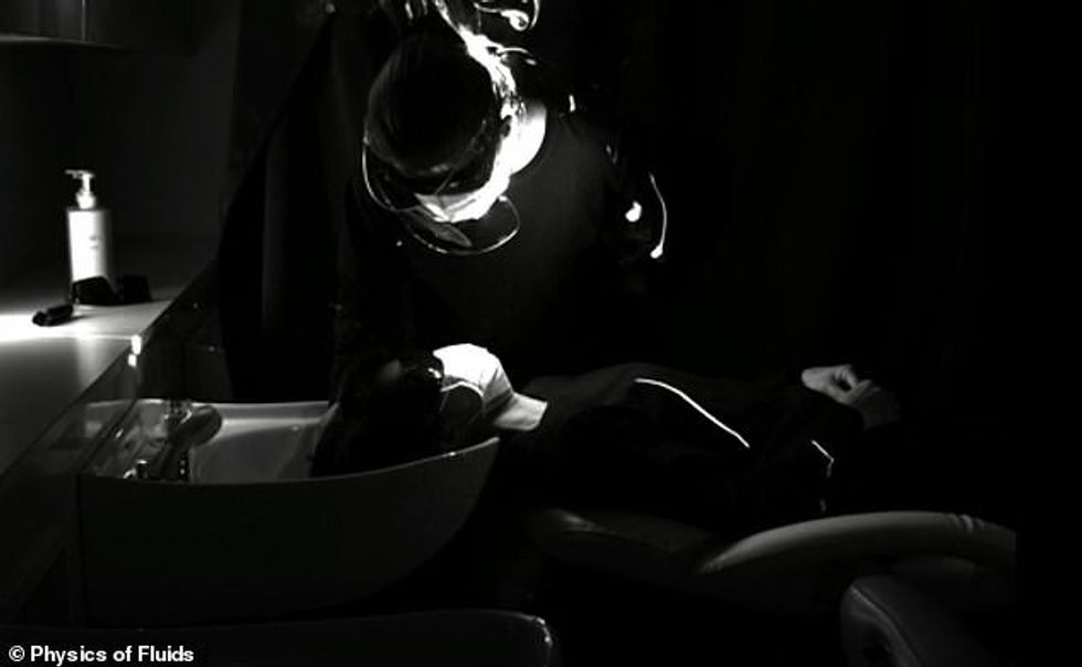 39666684 9290907 image a 17 1614088644906