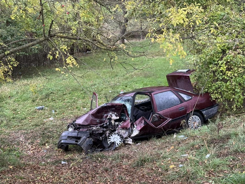 396913949 930805575136977 5968733004937212240 n 1