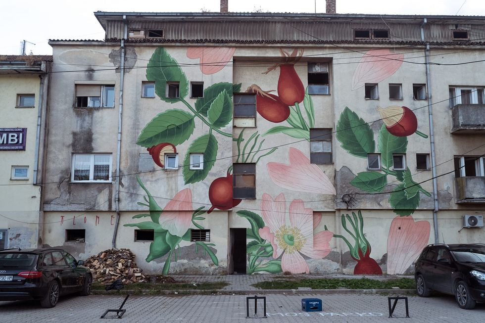 397550556 7153640544669037 7510500984811867760 n