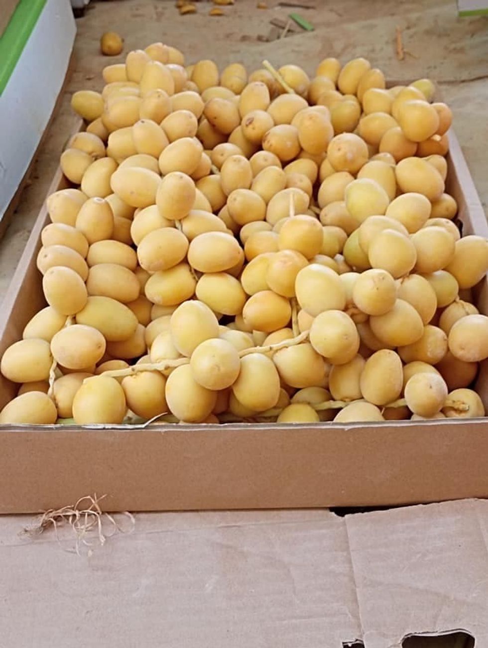 3a997f98 849c 480f 896e 6321136cd89a