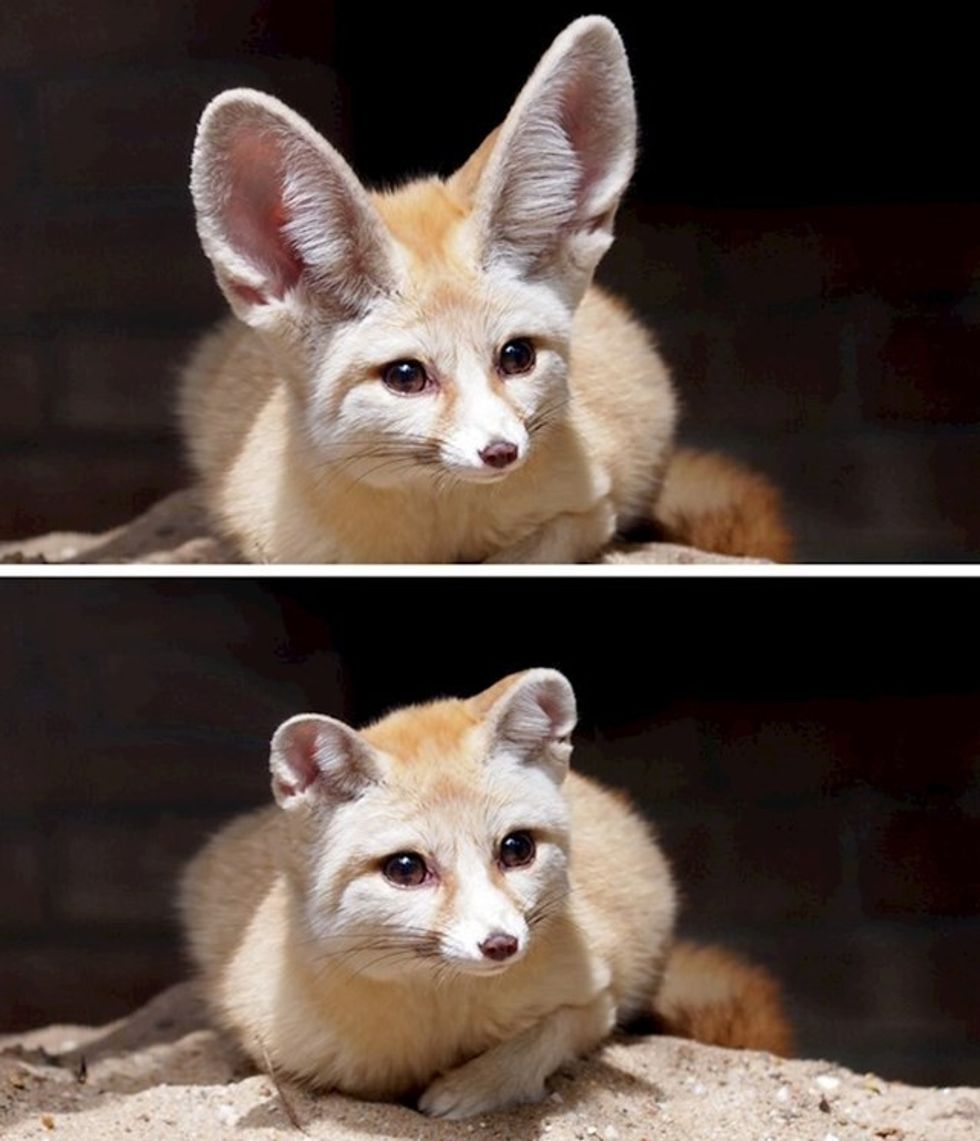 3b11e41d 6100 43e5 941d e17defb740f7