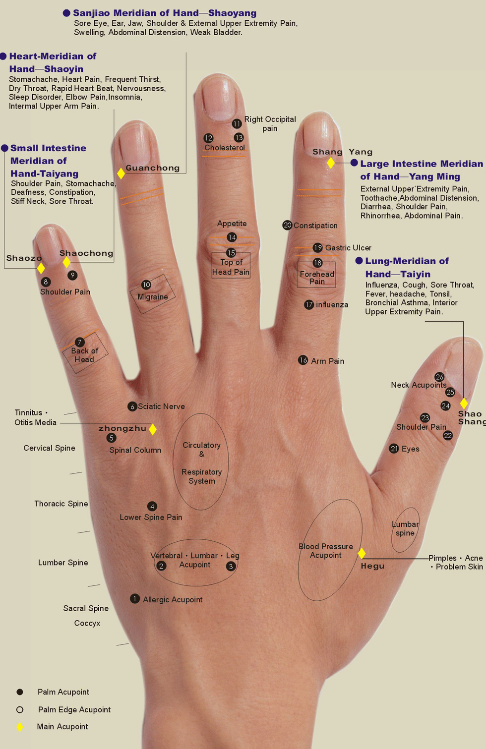 3b1e555c4cd1cb2079e31f797eca9e85