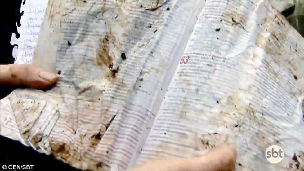 3B2CD60500000578 0 image a 42 1481196357860