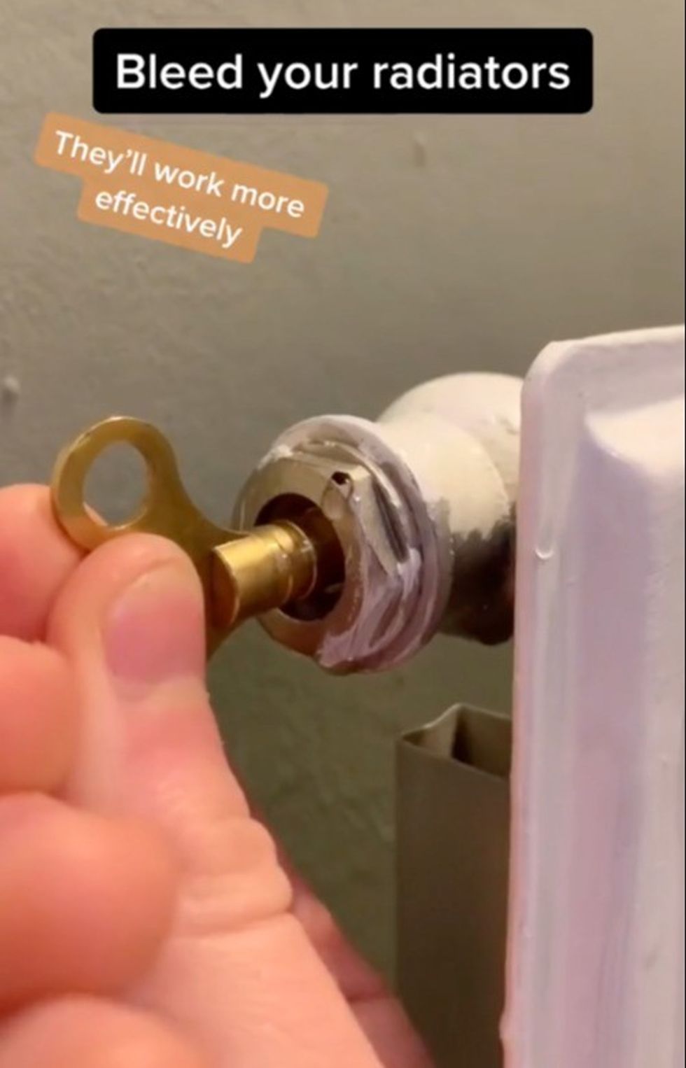 3d6d821f 4599 4485 9716 b3fb11573625