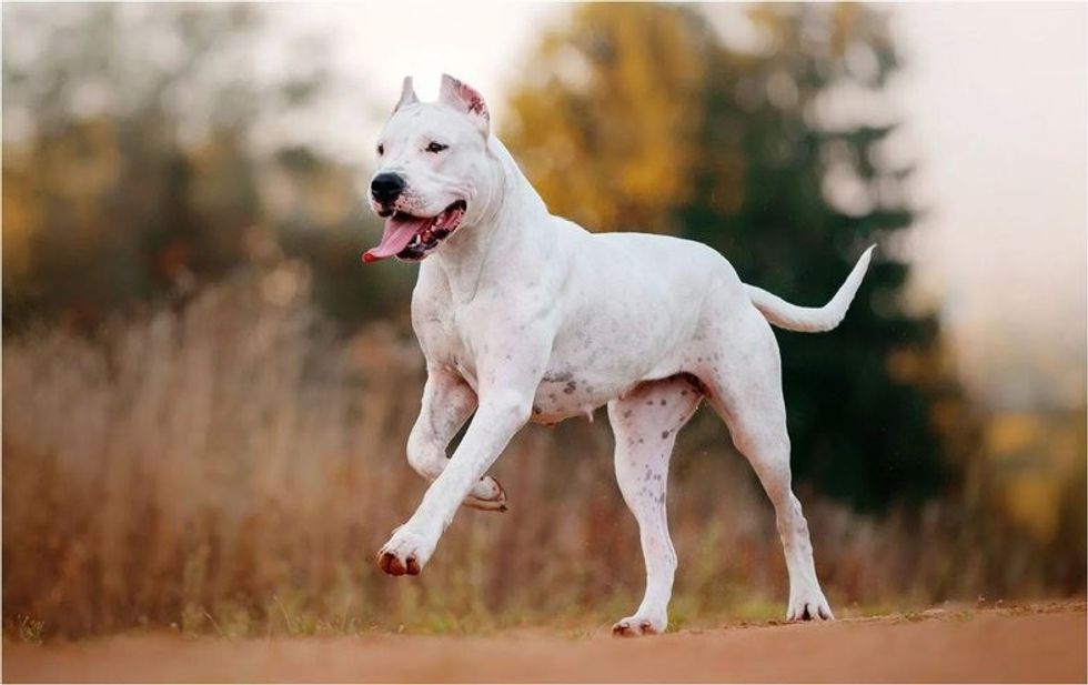 4 785 0 65081fa52cdb3