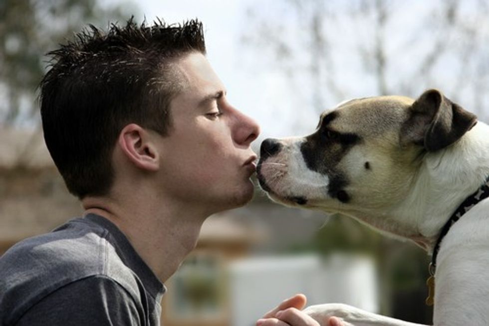 4 color man kissing dog