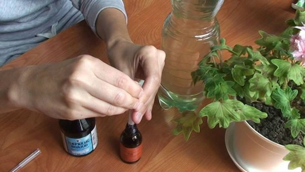 4 jod dlja pelargonii