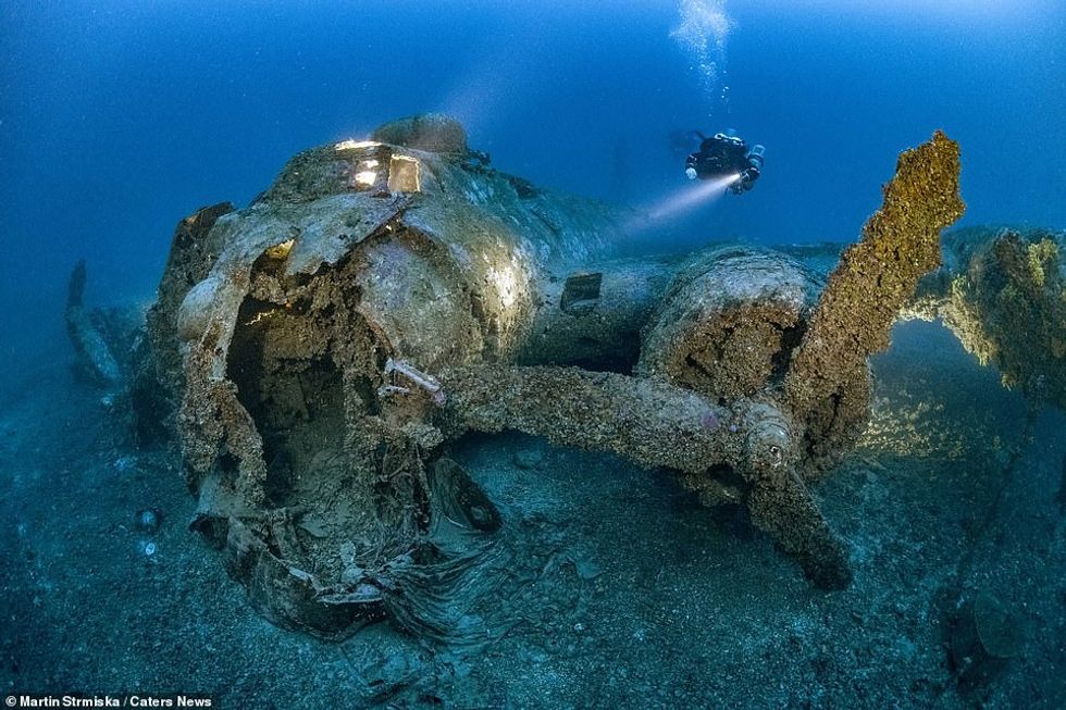 40076128 9329479 image a 61 1614940100491