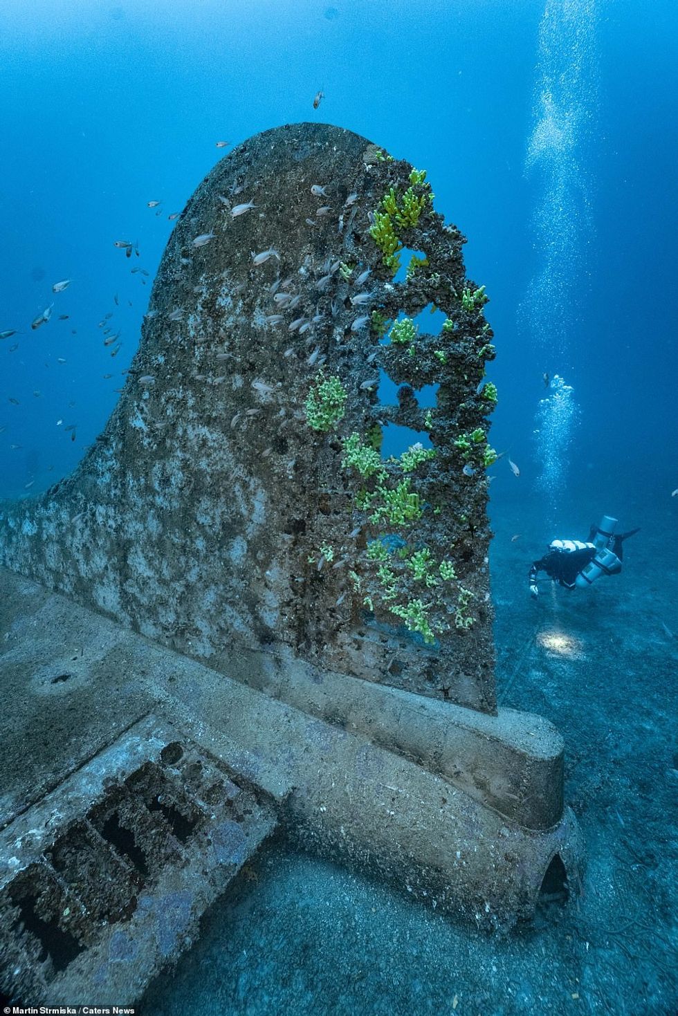 40076132 9329479 image a 78 1614940174262