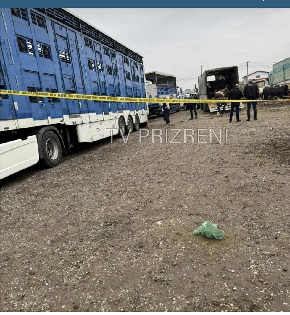 403394946 1001193097610026 2051897847452618270 n