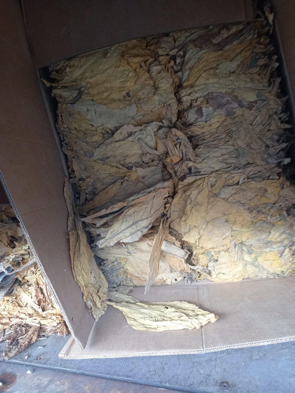 403679674 645689587641465 5656628622662465120 n