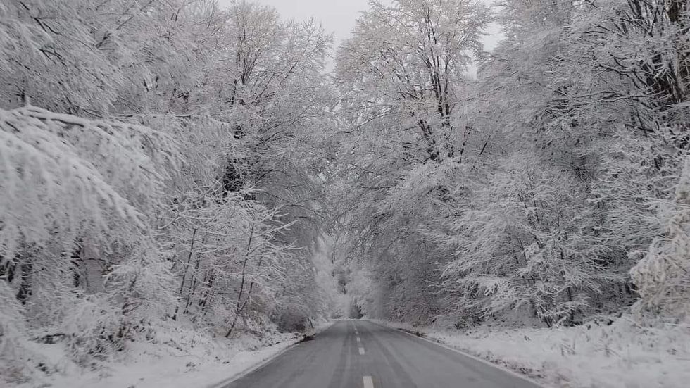 403728844 871531954326365 8050281319346272437 n