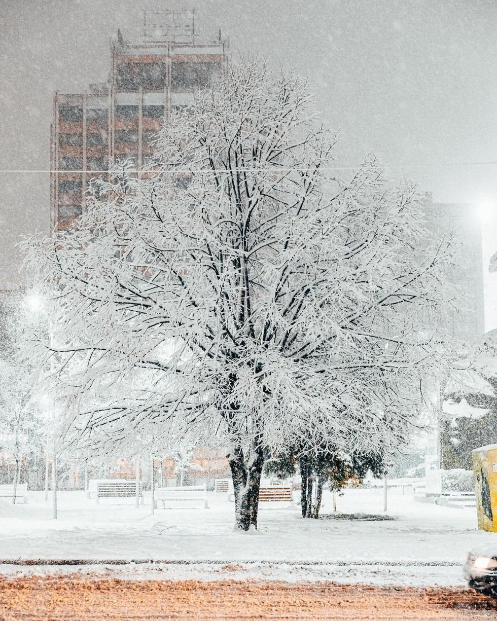 404336470 744179214415172 4884139506186013299 n