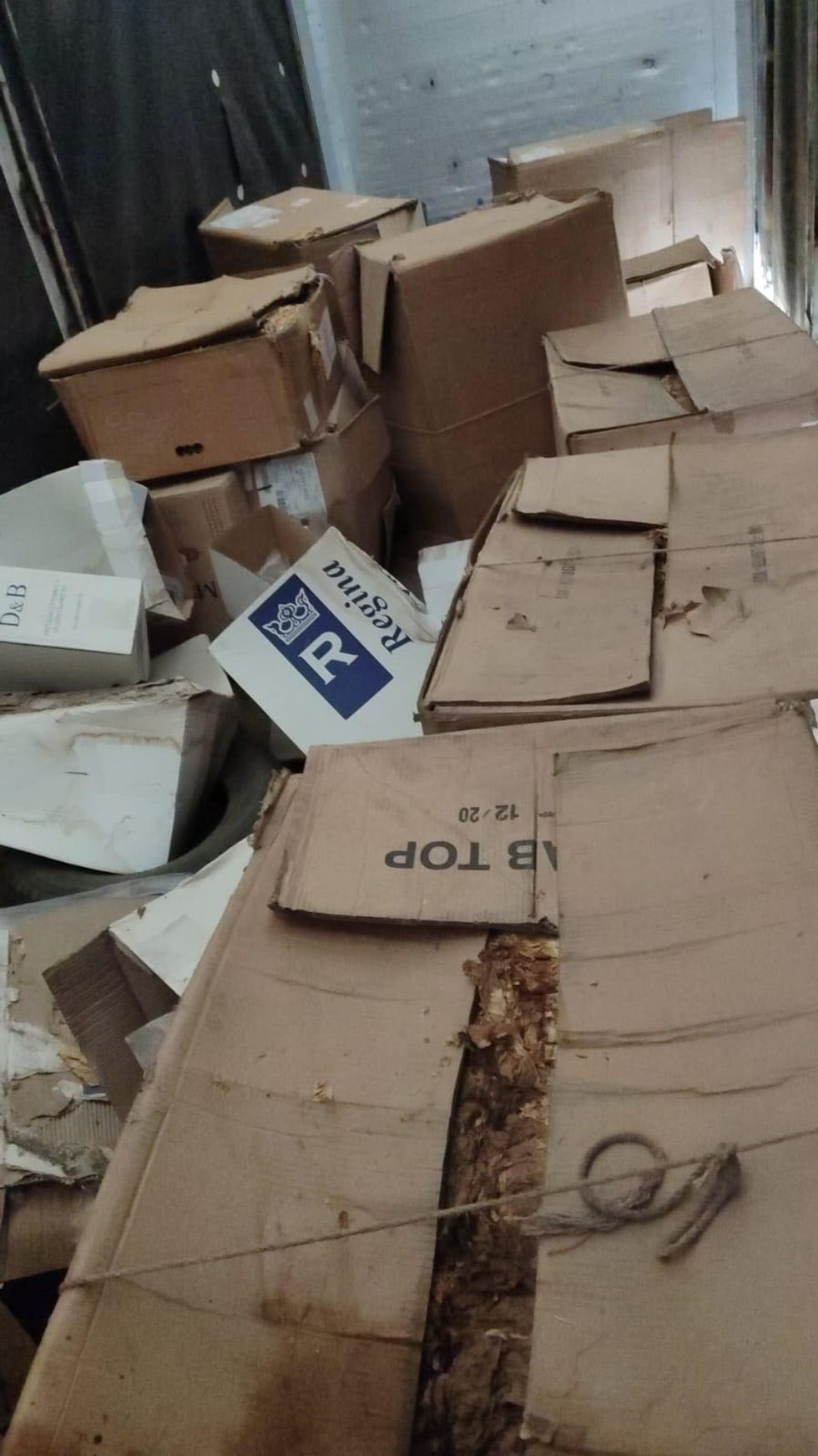 405391091 880901043408980 5218921309762638095 n