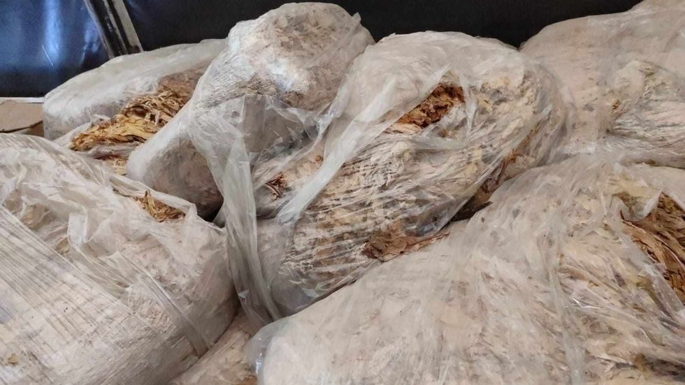 406198445 1468002777093385 3262480276620176637 n