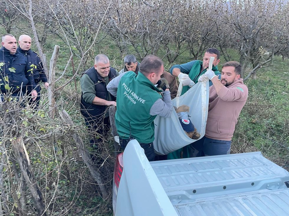 408197958 650034173987041 2952403257524381759 n