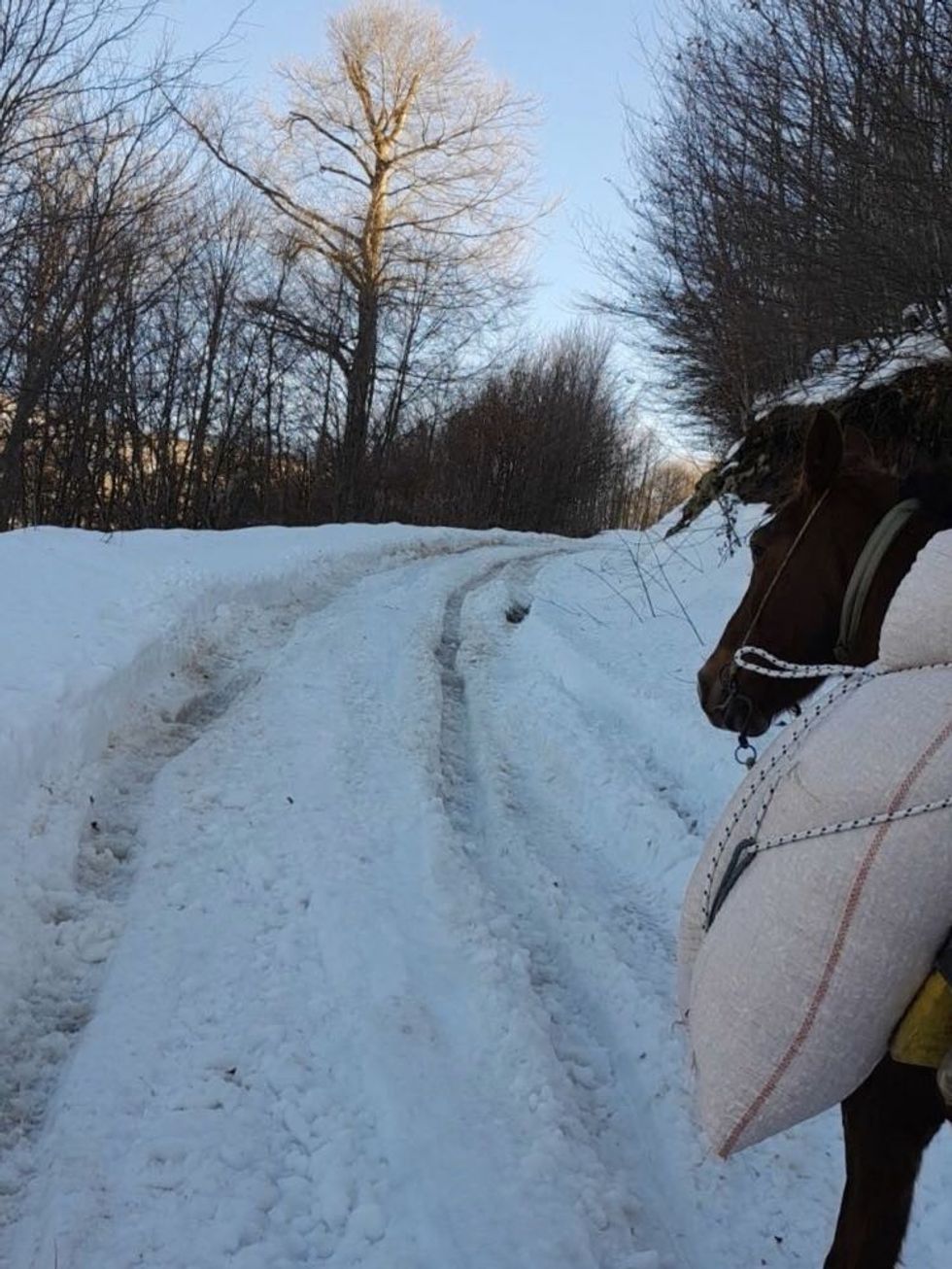 409373621 373265295197045 8103440706632023280 n