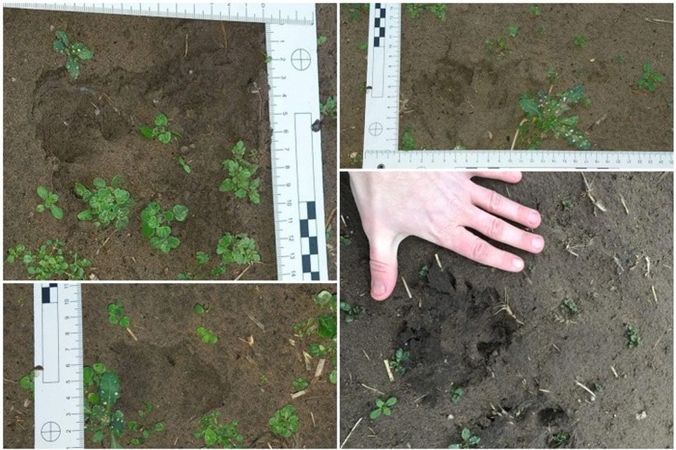 41103129 0f7772d7b0fb837ed300faf02d893501 wm