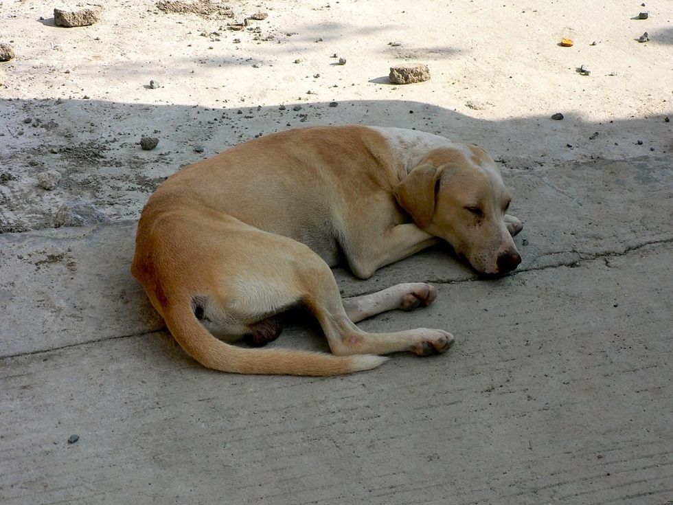 4122697957 8466d7fd8b b