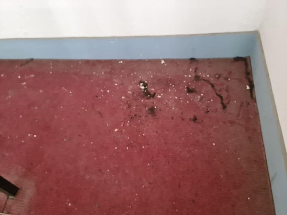 417707403 949820273213195 1534770780795857119 n