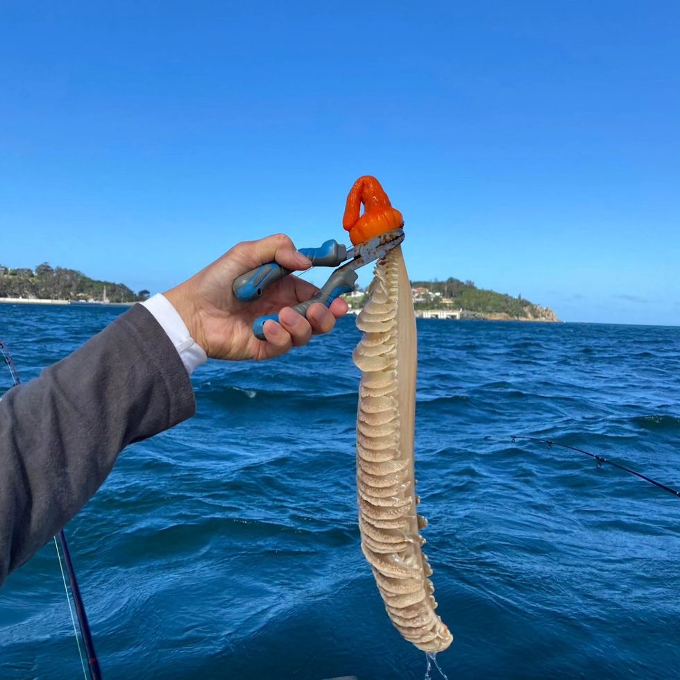 418091994 916973179789498 667341512686803906 n