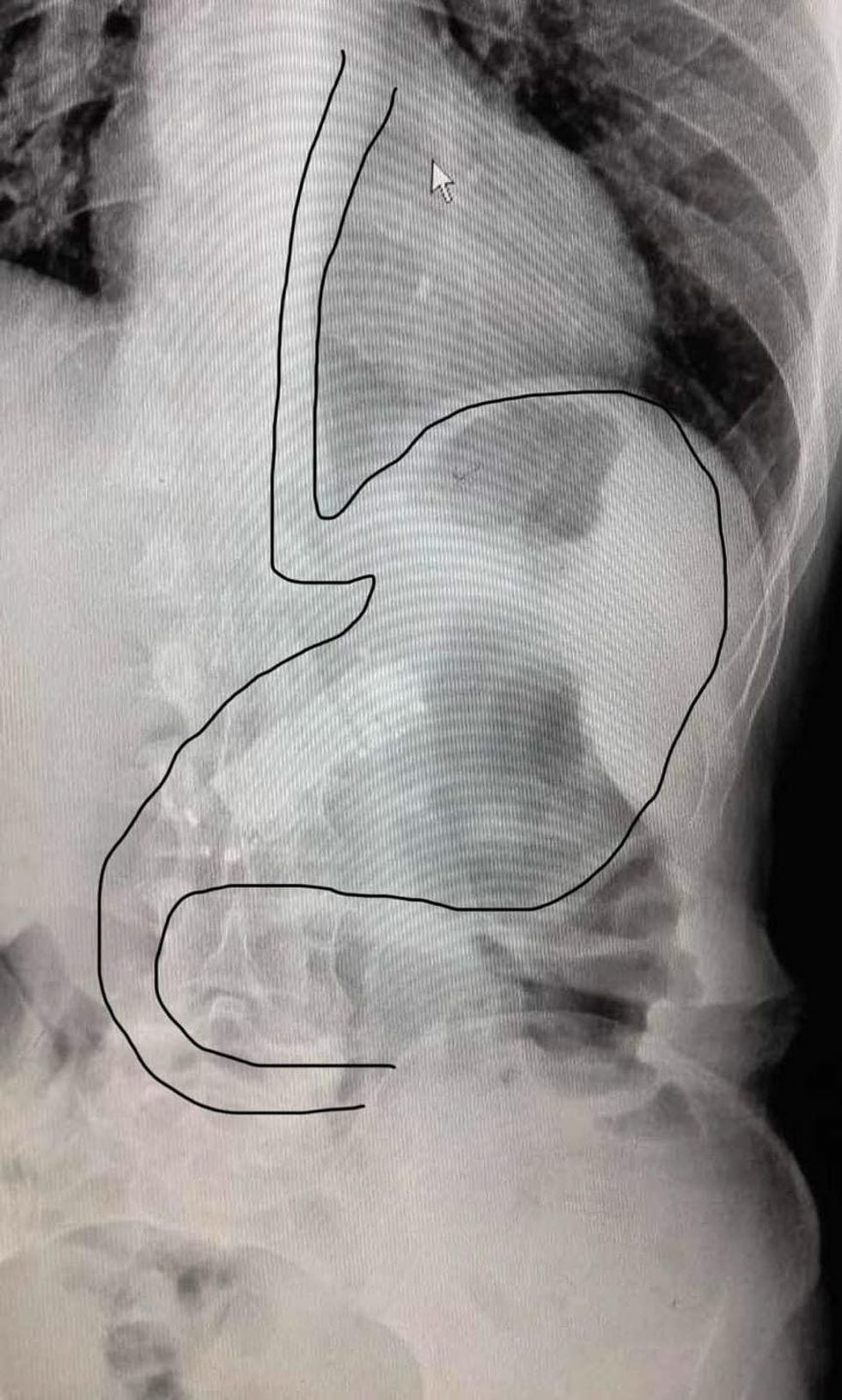 419067352 1164505534966378 7998863135490904670 n