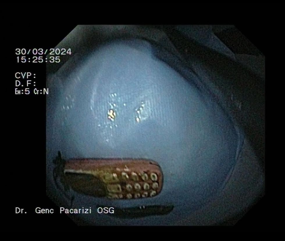 419488123 1164505538299711 187532633300495572 n