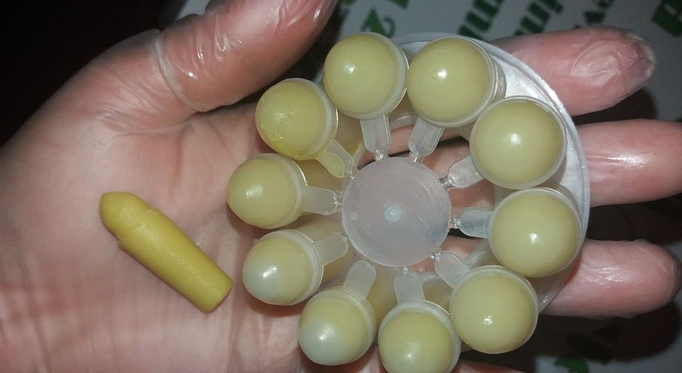 42411157 544784032622828 3465474339 edited