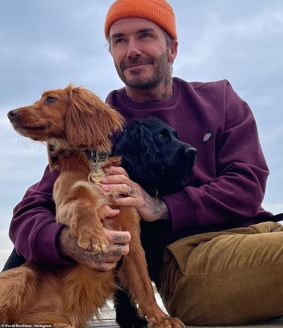 42471334 9534579 Main man David will celebrate his 46th birthday with close frien a 44 1619948111611