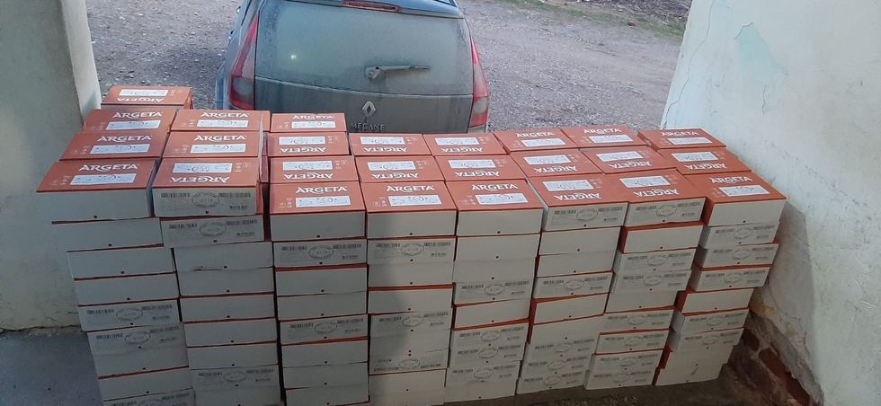 428168873 695916042748657 4885110017987229386 n