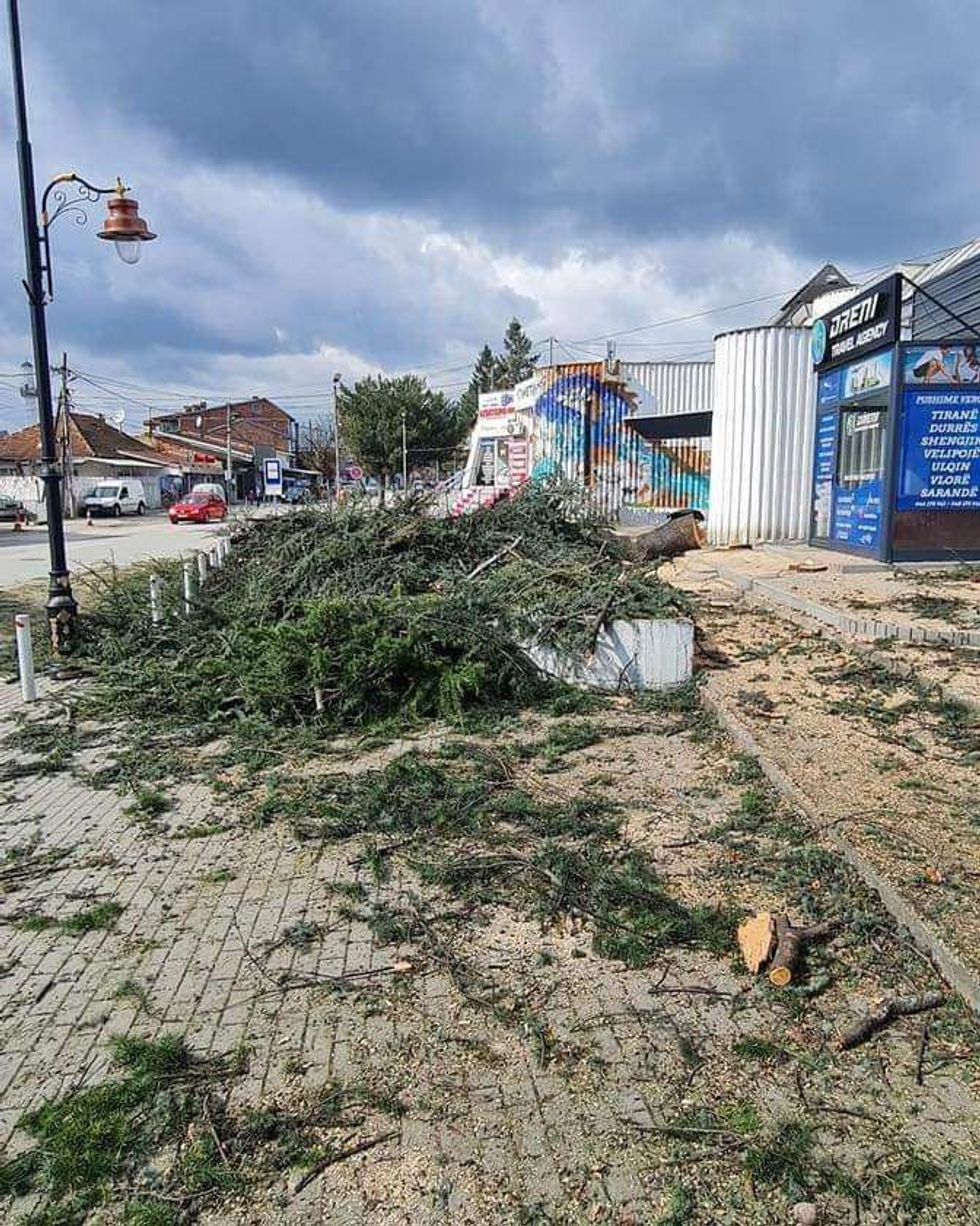 431463088 716888380598815 7934261379248947060 n 1