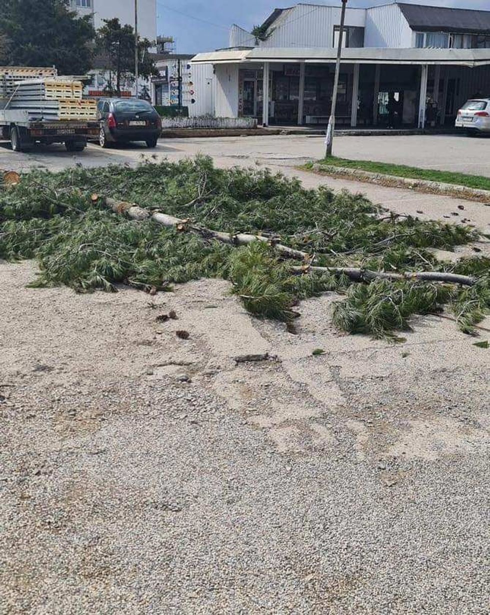 431612574 1599849170818081 1501454014797244055 n