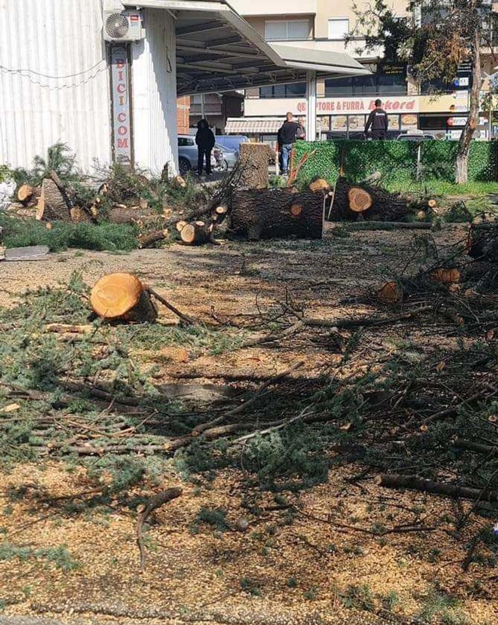 432453455 1439173210004754 5996124189018243522 n