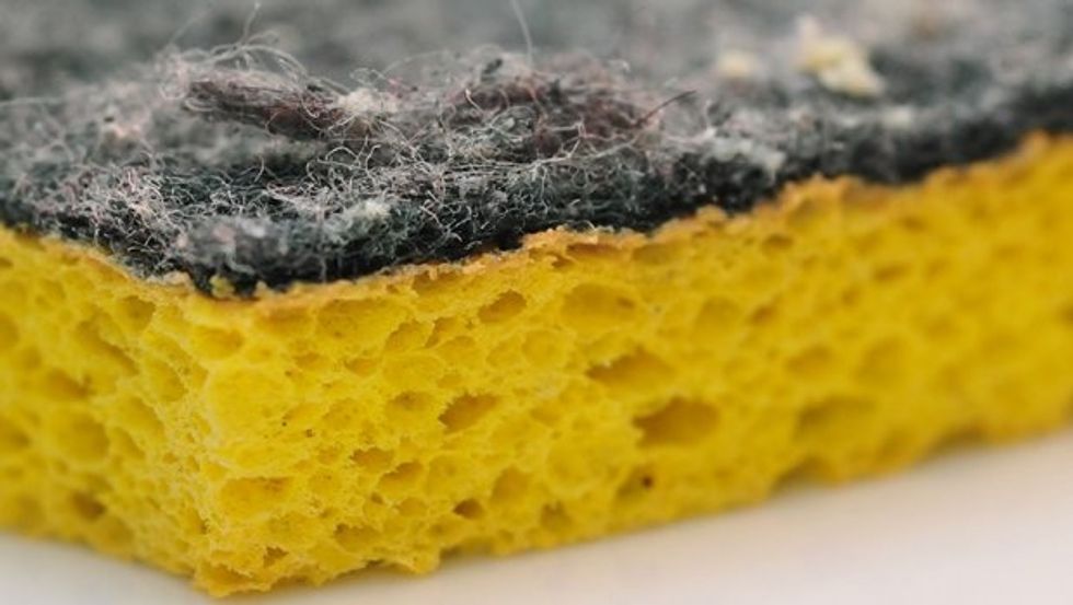 4324731212 174e1ae385 o