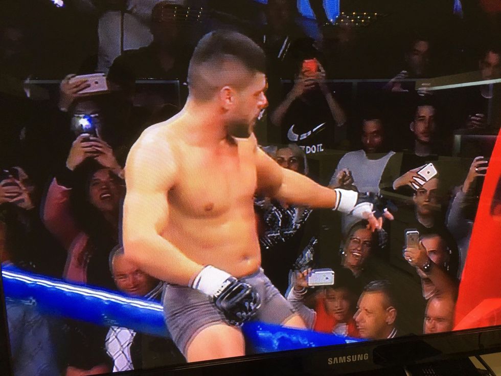 43297606 241530856530169 4696705780814970880 n