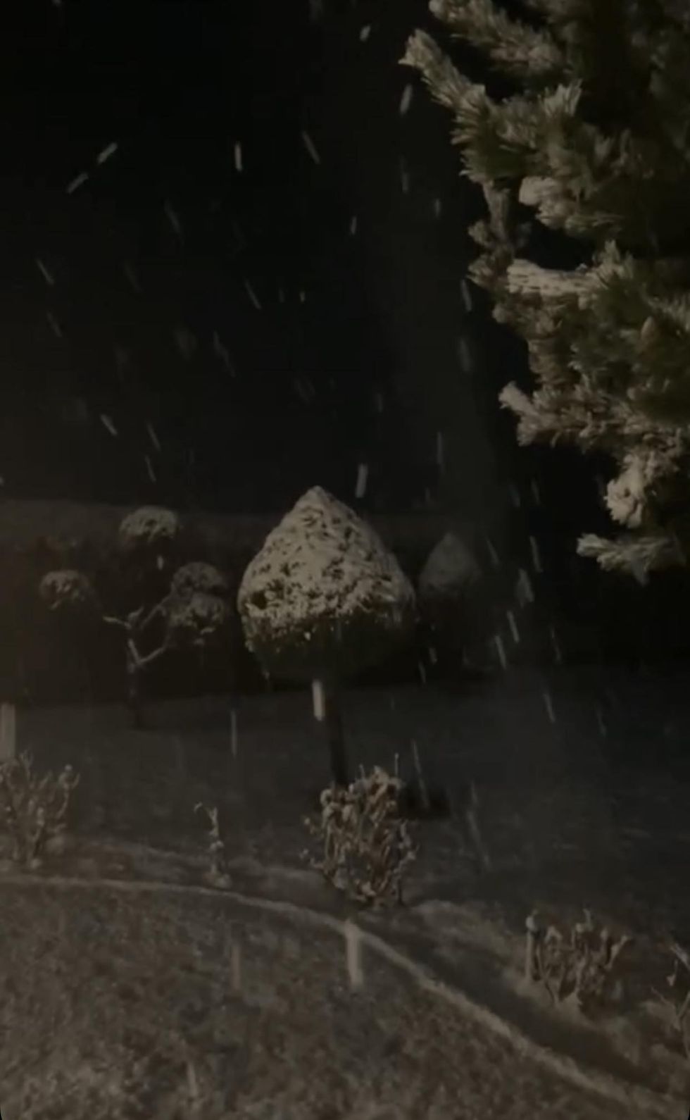 433731808 3723517624593236 7657221578332019285 n