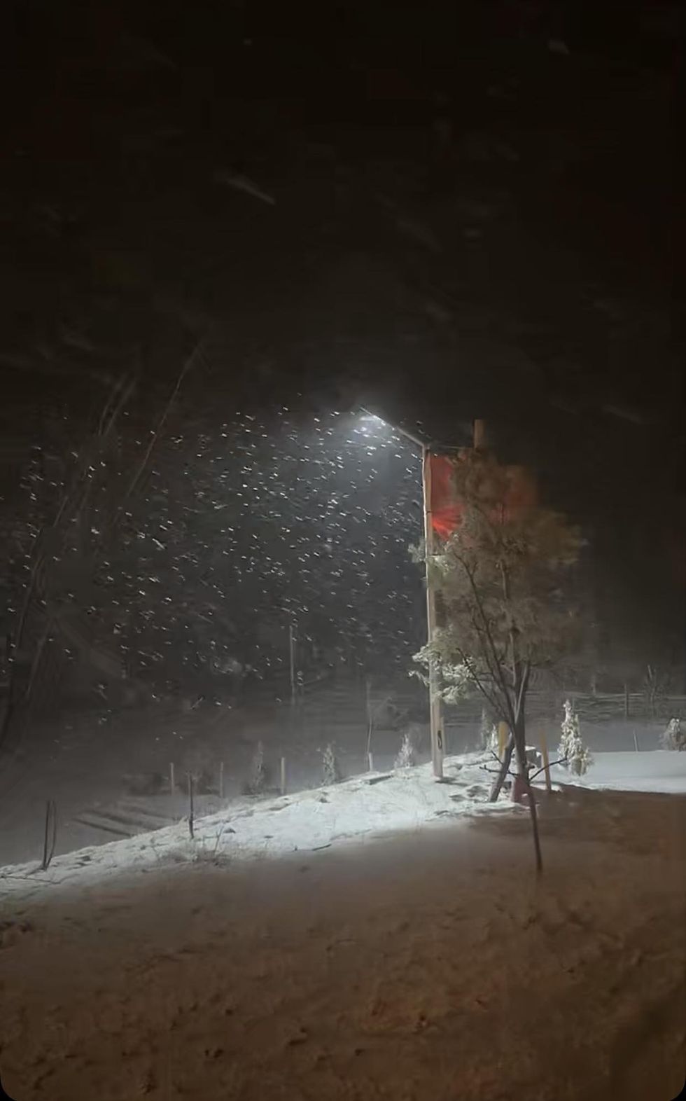 433998216 1394813727810785 6908033201003472779 n