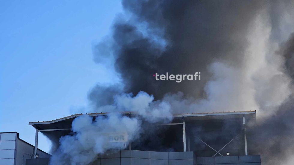 434338300 2136466910049215 4695045176047389418 n 1