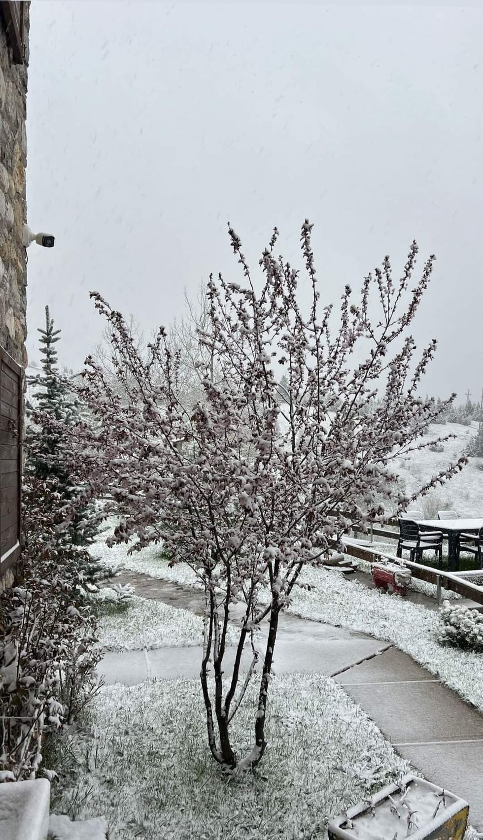 438225018 314572775063774 2655178950309077838 n