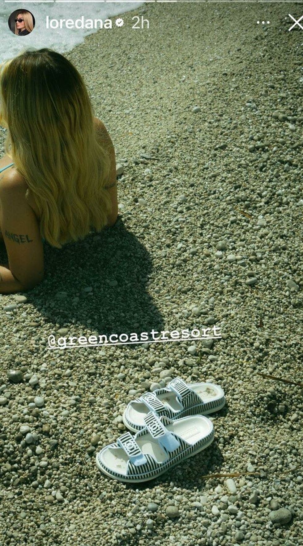 441998726 1315131932779696 1170511165390040744 n e1717952723461