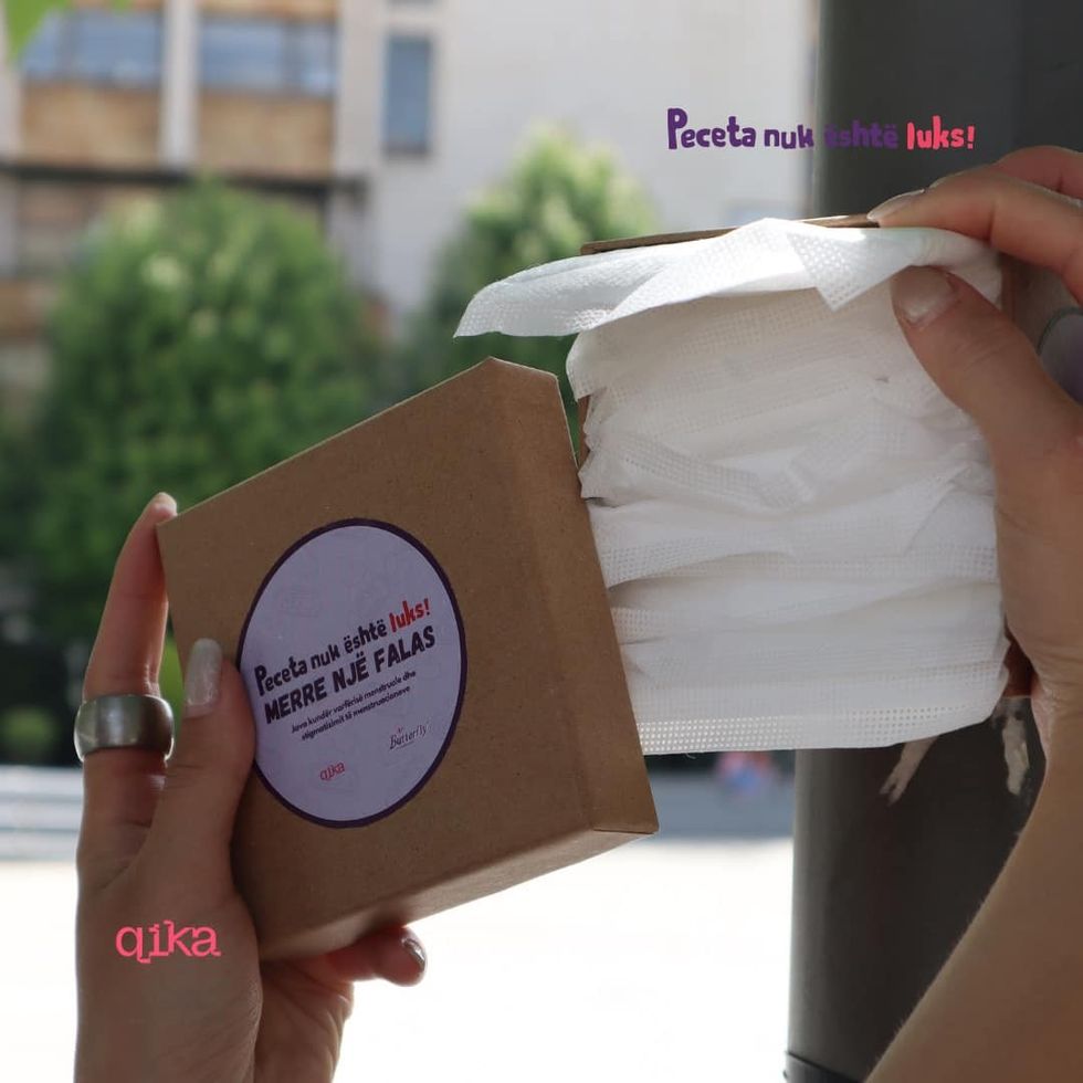 443824049 775089568100134 3183583099324966850 n