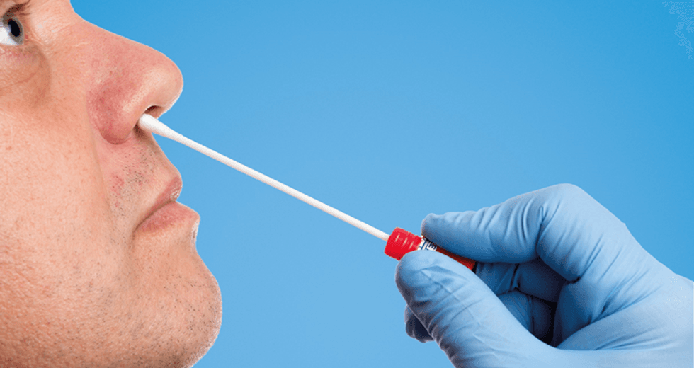 44488435564260141685brisnosa 9250