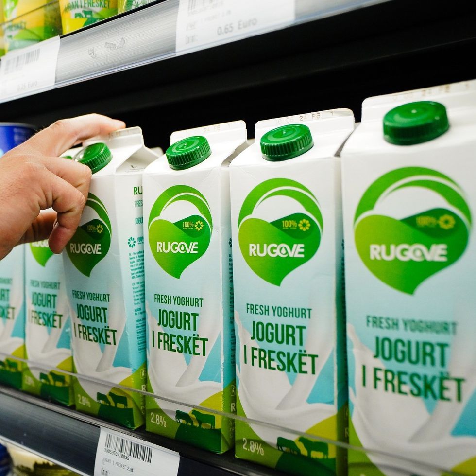 445066863 837686225056632 3838460760323552291 n