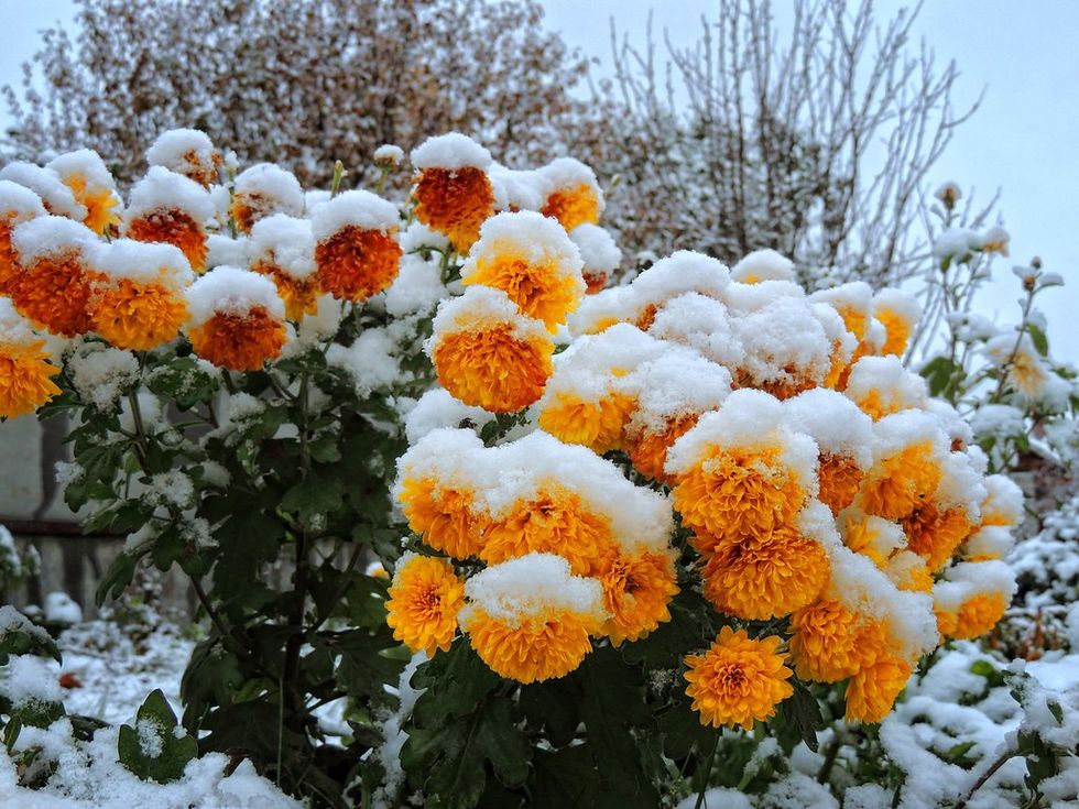 44607500634 3c20bb9dea b